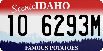 ID license plate 1O6293M