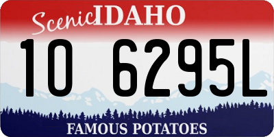 ID license plate 1O6295L