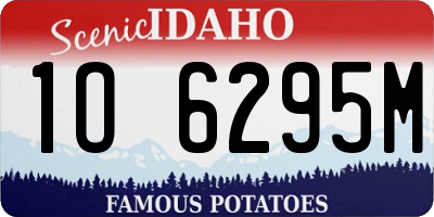 ID license plate 1O6295M