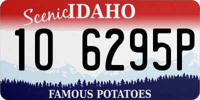 ID license plate 1O6295P