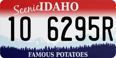 ID license plate 1O6295R