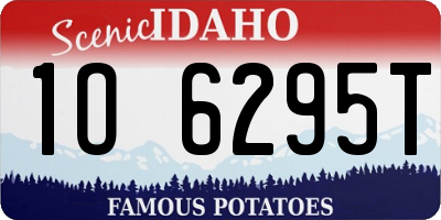 ID license plate 1O6295T
