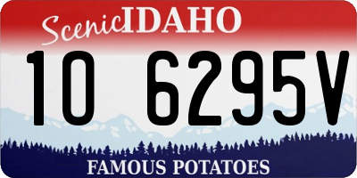 ID license plate 1O6295V