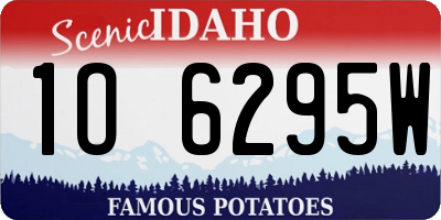 ID license plate 1O6295W