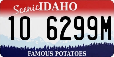 ID license plate 1O6299M