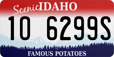 ID license plate 1O6299S