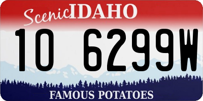 ID license plate 1O6299W