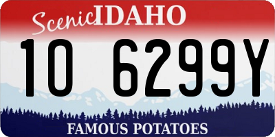 ID license plate 1O6299Y