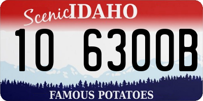 ID license plate 1O6300B
