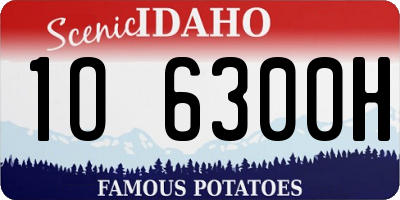 ID license plate 1O6300H