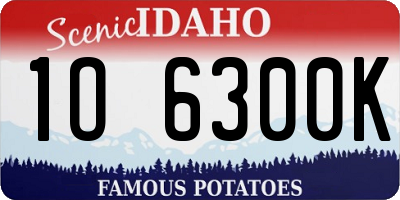 ID license plate 1O6300K
