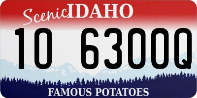 ID license plate 1O6300Q