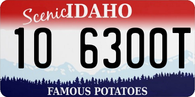 ID license plate 1O6300T