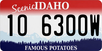 ID license plate 1O6300W