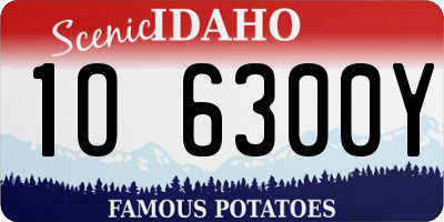 ID license plate 1O6300Y