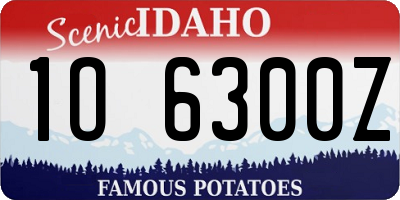 ID license plate 1O6300Z
