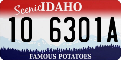 ID license plate 1O6301A