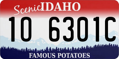 ID license plate 1O6301C