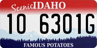 ID license plate 1O6301G