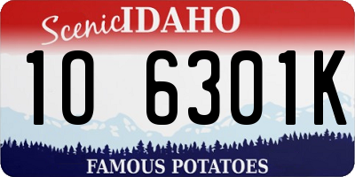 ID license plate 1O6301K