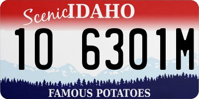 ID license plate 1O6301M