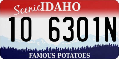 ID license plate 1O6301N