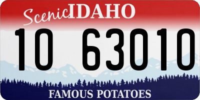 ID license plate 1O6301O