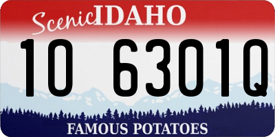 ID license plate 1O6301Q