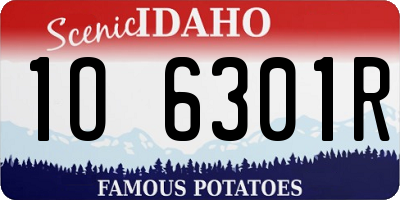 ID license plate 1O6301R