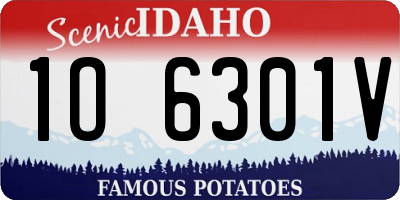ID license plate 1O6301V