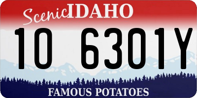 ID license plate 1O6301Y