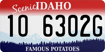 ID license plate 1O6302G