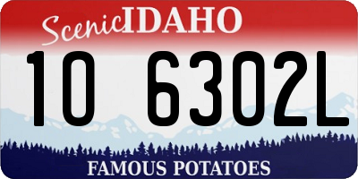 ID license plate 1O6302L