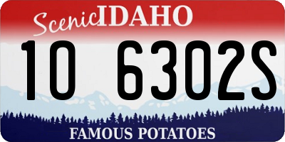 ID license plate 1O6302S