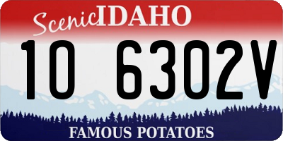 ID license plate 1O6302V