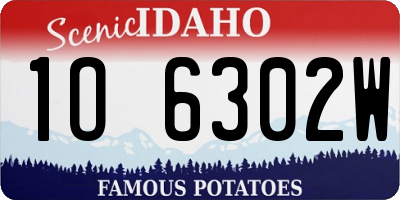 ID license plate 1O6302W