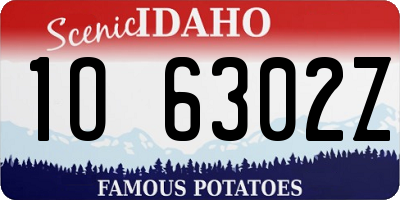 ID license plate 1O6302Z