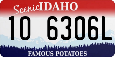 ID license plate 1O6306L