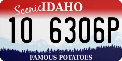 ID license plate 1O6306P