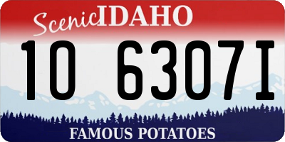 ID license plate 1O6307I