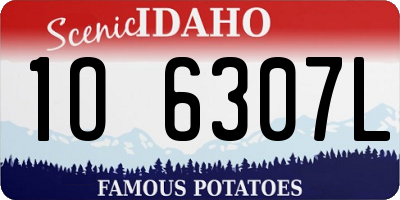 ID license plate 1O6307L