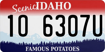 ID license plate 1O6307U