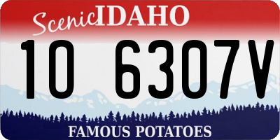 ID license plate 1O6307V