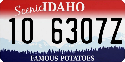 ID license plate 1O6307Z