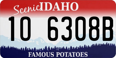 ID license plate 1O6308B