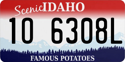 ID license plate 1O6308L