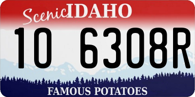 ID license plate 1O6308R