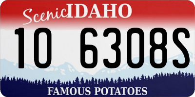 ID license plate 1O6308S