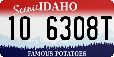 ID license plate 1O6308T