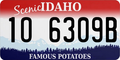 ID license plate 1O6309B